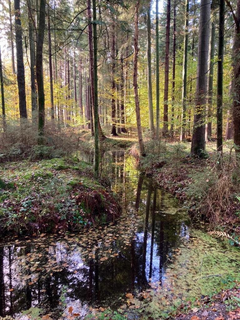 Apartment Vier Jahreszeiten Pilsum Krummhörn Zewnętrze zdjęcie